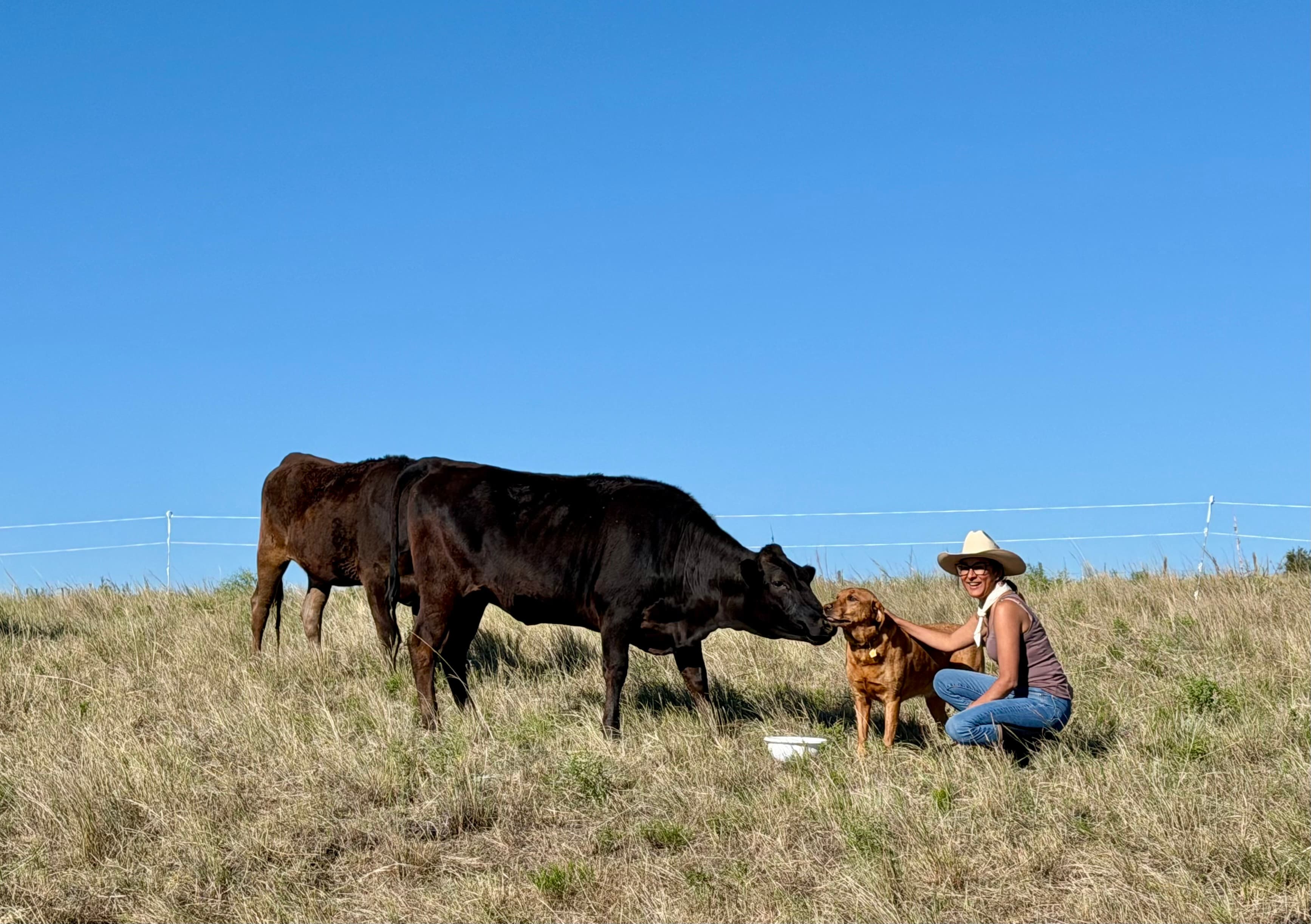 Camille, co-owner of Sweetgrass Farms